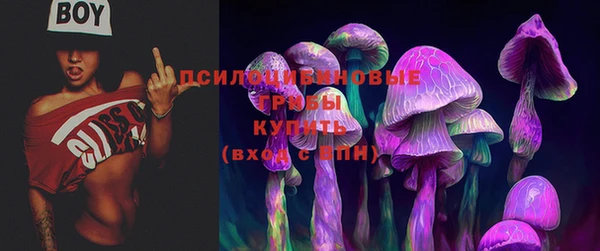кокаин колумбия Михайлов