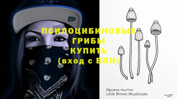 молекула духа Михайловка